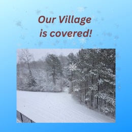 a road and trees covered in snow